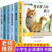 百年经典儿童文学冰心奖名家名作系列三四五六年级必读儿童读物