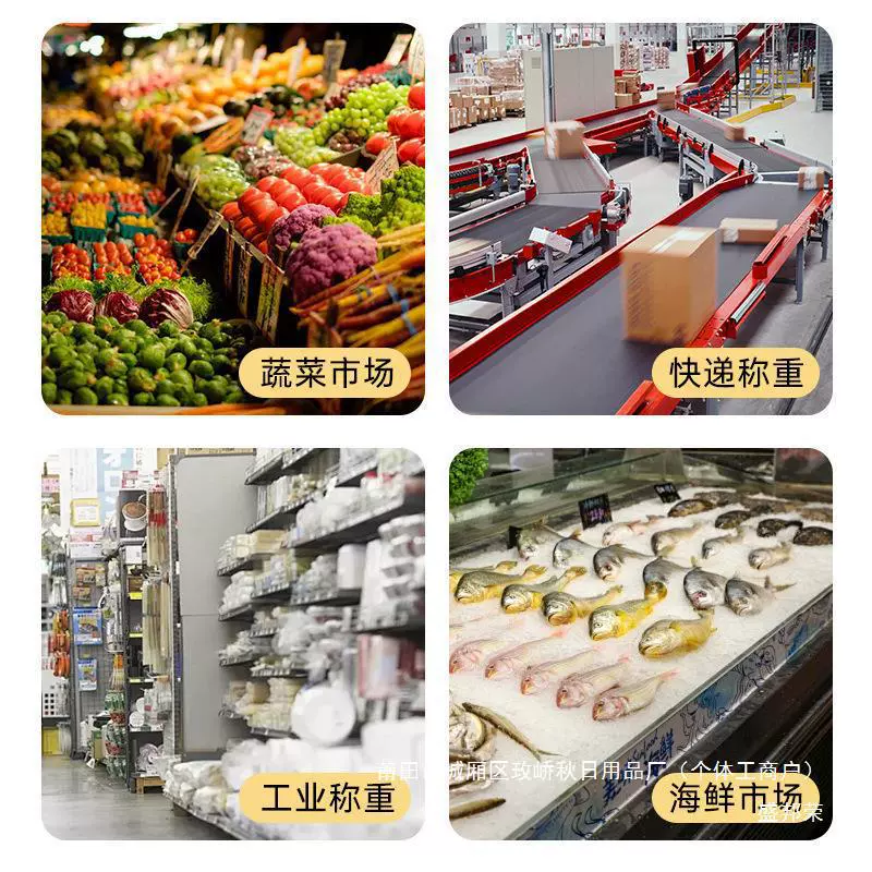Factory direct sales small high-precision portable household portable electronic scale small hook scale spring scale