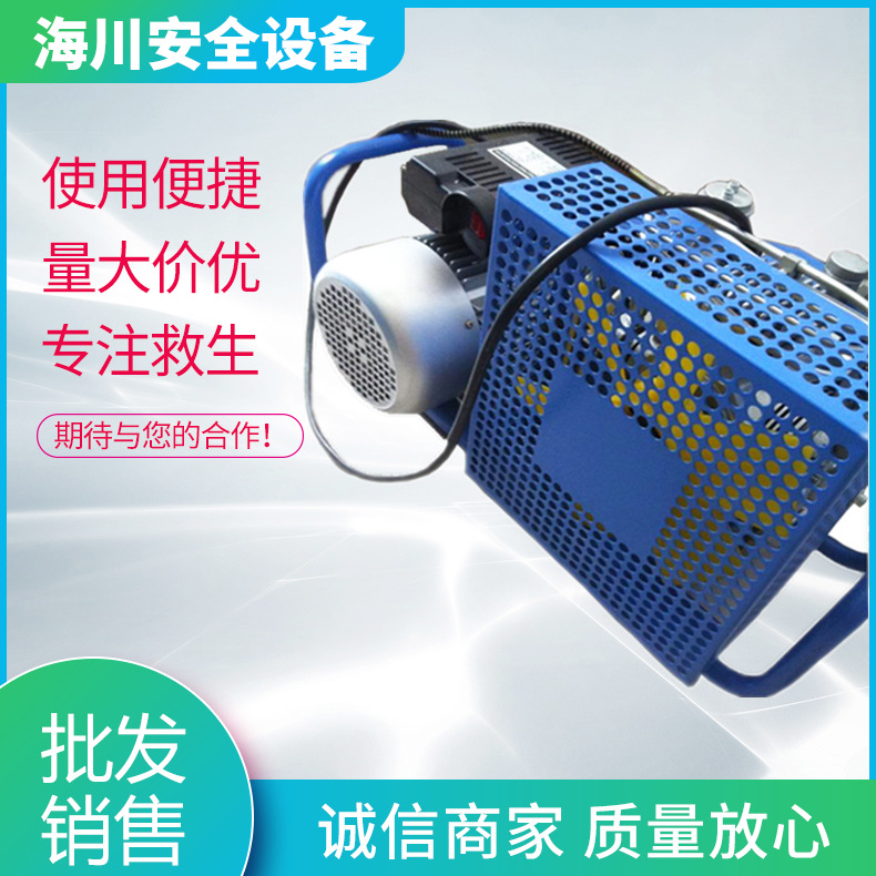 空气呼吸器充气泵  空气呼吸器盐城厂家   SVGC100系列户外
