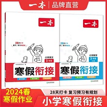 2024一本寒假衔接寒假作业知识衔接28天养成打卡好习惯复习预习