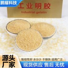 增稠剂明胶工业明胶动物胶粘合剂凝合剂热熔凝胶颗粒明胶工业明胶