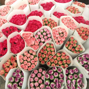 �r�����ֱ�l����ܰ����ͬ�����f����ˮ�B������������ĸ�H���Y��