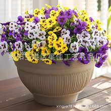 ���R�d�羳�ȼ�����ɫ������ٻ��҃����b�ֲ����滨�����m