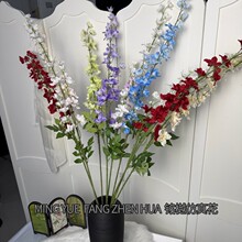 �S��ֱ�N�¿����_�m�w����滨 �����ɚ⻨�Ĵ���С�������_�m