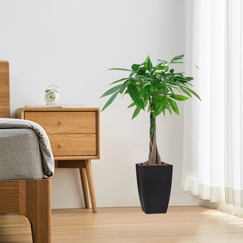 メーカー卸売 正方形プラスチック植木鉢 PP鉢 装飾品 マット加工 厚手 花瓶 多肉植物鉢 マットな質感|undefined