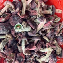 ���Ұ���t����؛�{�����ڼt�����ӼtĢ���ؼ��t׵���Ǹ������l