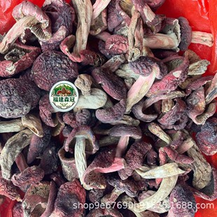 ���Ұ���t����؛�{�����ڼt�����ӼtĢ���ؼ��t׵���Ǹ������l