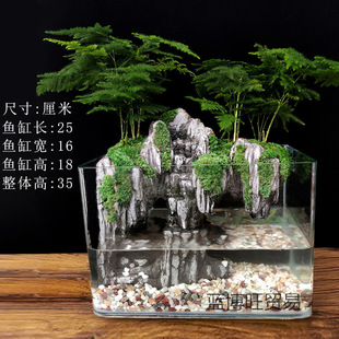 Large Fish Tank Flowing Water Landscaping Complete Set of Ecological Micro-Landscape Small Desktop Decoration Real Plant Water and Land Tank Landscape Landscaping