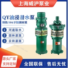 威滬充油式潛水電泵/小型QY系列直流泵/三相油泵/上海廠家直銷