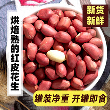 新货红衣生花生米500g原味烘焙熟的红皮花生仁新鲜红衣无壳