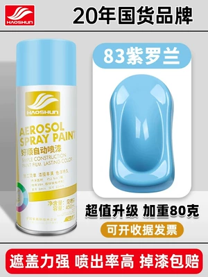 Matte Hand-Shaken Spray Paint Can, Avtomobil boyası - violet-450mlbottle