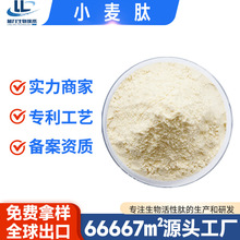 小麦肽蓝力生物食品级低聚肽小分子活性肽小麦低聚肽粉