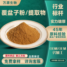 覆盆子粉提取物 食品级原料 植物水溶性粉 量大从优 多规格 现货