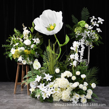 ���滨��ɫϵ���ķ���õ��ٻ���c��Y�üҾ��b������컨���l