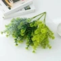 仿真庭院植物盆栽蕨草