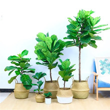 ���~�Ŵ��~���Կ͏d���W����ֲ�����������Ȥζ�҃��Ϙ��^�~�Gֲ