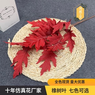 �F؛ ֱ����c�����~��3������~�ҾӔ[�ź��J�~����Gֲ���~���l