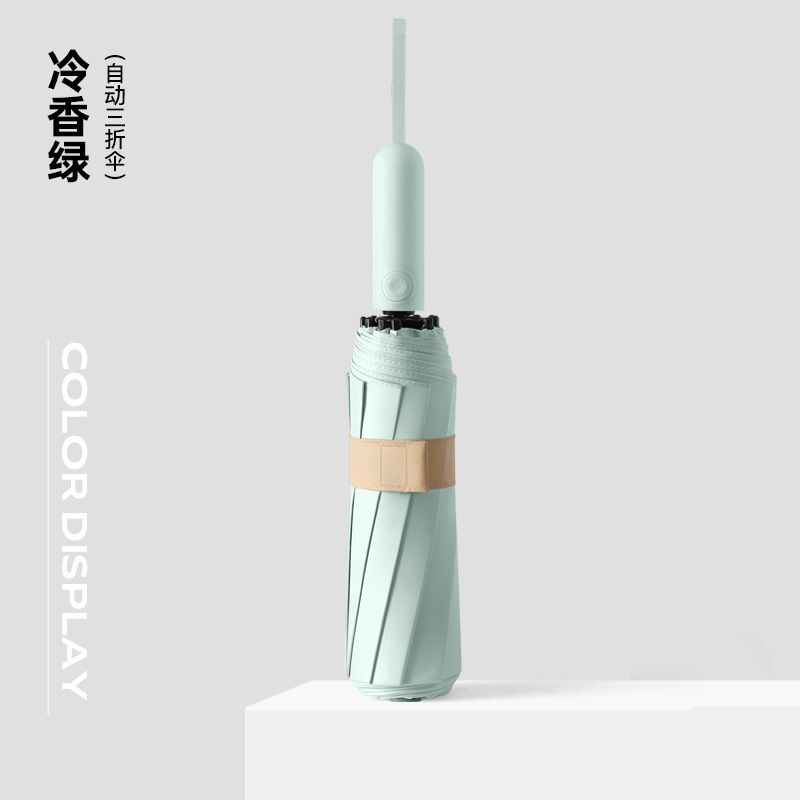 컬러풀 자동우산-렝샹그린