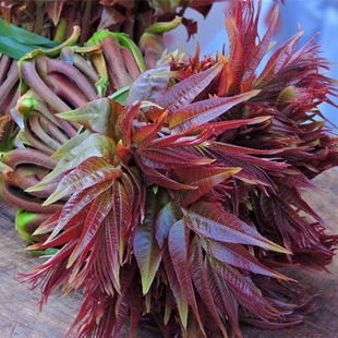 �㴻�������Ե����Ϸ������҃������ļ��Nֲ����ʳ�üt���㴺���m