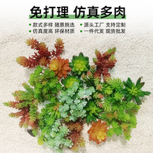 仿真绿植ins人造花假花绿植墙室内家居装饰品小摆件组合 仿真多肉