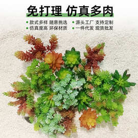 仿真绿植ins人造花假花绿植墙室内家居装饰品小摆件组合 仿真多肉