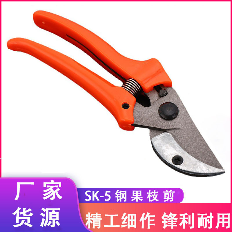 园林工具果枝剪花盛剪枝剪刀果树剪子园艺修花家用修枝花卉园林剪
