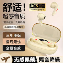 �羳2025�¿�TS19�����ʽ�����|���L�m�����딵�@�{�����C͸��