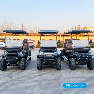Elektrikli qolf avtomobilləri Car 2-4-6 Seats Scenic