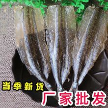 马步鱼 马步鱼干 针鱼干 棒棒鱼 多味鱼 烧烤店专用马步鱼批发