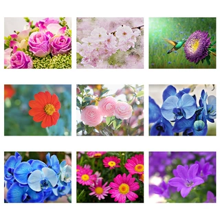 5D钻石画各式花朵花卉色彩跨境满钻客餐厅玄关画钻石绣装饰画厂家