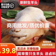 羊头厂家直销顺丰包邮整只新鲜带皮肉鲜脸肉山杂商用批发厂家批发