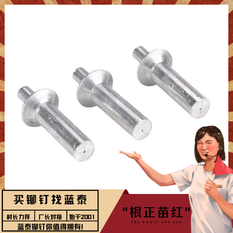 钢塑模板击芯铆钉机械工业用紧固件 钢塑模板连接件 钢塑模板铆钉