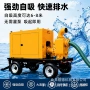 工程大流量定制市政排污泵