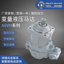 mrexrothʿҺR_A6VM/SR_׃R_R_