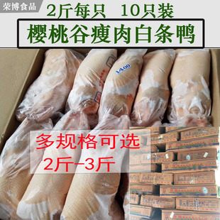 ���ҹ������Ͱחl��10ֻ���������ϴ��������2��ÿֻ�����}ˮ��