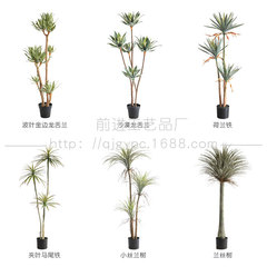 沙生植物シミュレーションアロエ龍舌蘭造景装飾装飾品偽樹オランダ鉄馬尾鉄店舗ソフト