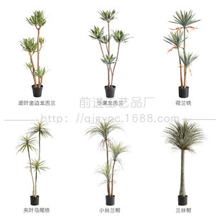 Sandy Plant Simulation Aloe Tequila Decorative Decoration Fake Tree Dutch Iron Horse Tail Iron Shop Soft Clothes