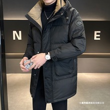 �Bñ��q���п��2024�¿����L���������ﶬ����n��Ӻ����