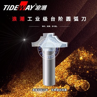 Cnc Tool Industrial Grade Step Arc Cutter Engraving Cutter Milling Cutter Wholesale Milling Cutter Source Factory Inspur Tool