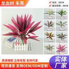 24叶17叶12叶18叶巴西木龙血树红铁树紫红色仿真大支朱蕉仿真植物