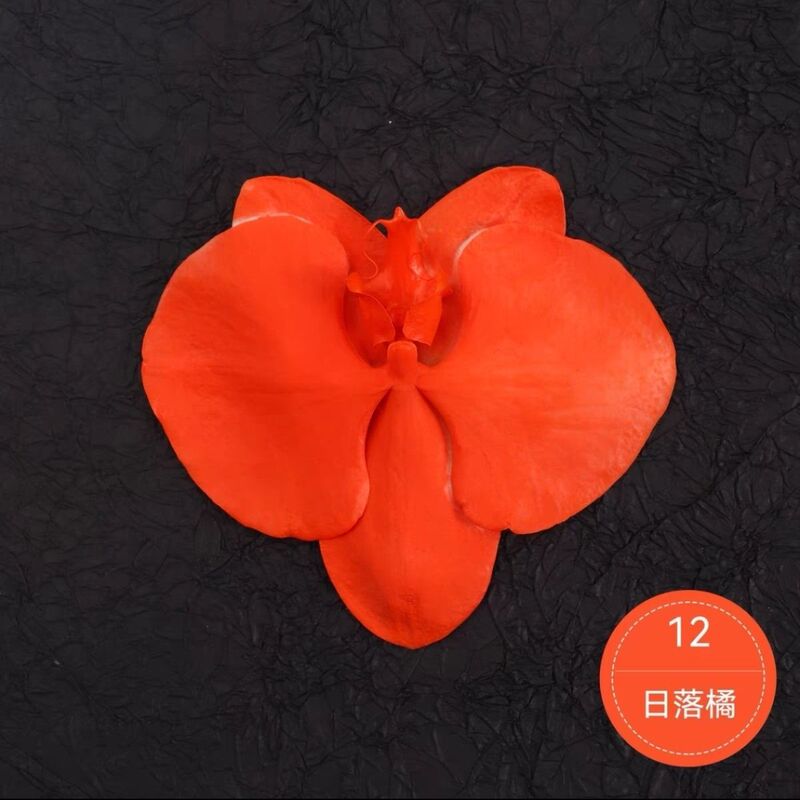 自噴花スプレー 花スプレー 色変更染料ペイント 花屋壁改修 花アート|undefined