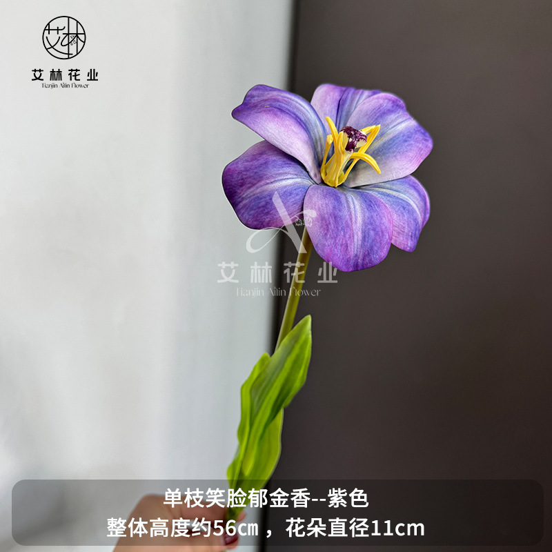 싱글 스마일 튤립