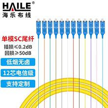 电信级光纤跳线SC单模12芯束装尾纤 分纤箱ODF配线架专用