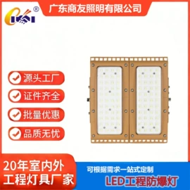 其他室内灯具;投光灯;景观灯