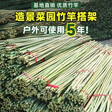 ��Ͳˈ@����߲��S�Ϸ��Ѷ��ǼܗU��h�ʖř�С���Ӽ�������Ѽ�