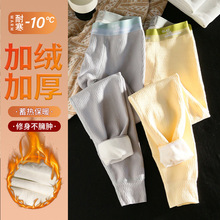 男士保暖裤加绒加厚男生纯棉秋裤提花保暖裤加厚冬季防寒打底裤潮