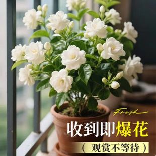 �ذ껢�^���������ļ����U�_�����玧�����҃��̨�Gֲ�����Ϙ�