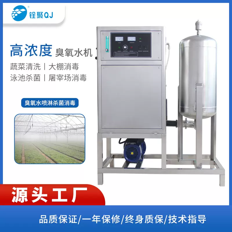 氧气源臭氧发生器食品加工设备工业用浸泡杀菌消毒一体机厂家包邮