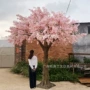商场大型室内外春天樱花树
