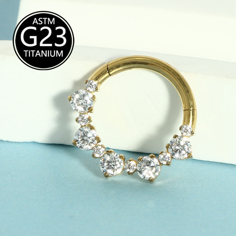 G23 Titanium Alloy Inlaid Zircon Earrings Nose Ring Closed Ring All Over Titanium Piercing Jewelry Spot Single Sale detail image 9